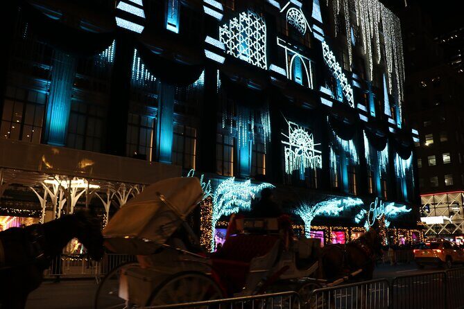 Christmas Light Private Carriage Ride New York City - Is This Tour Worth It?