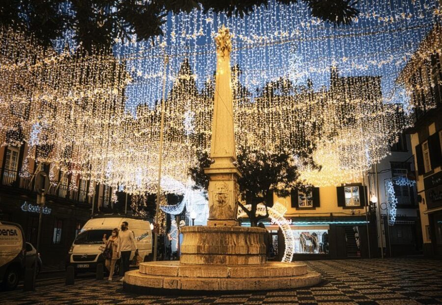 Christmas Lights in Funchal Tuk Tuk Tour - The Experience Itself: What to Expect