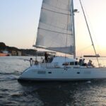 Christmas River Cruise with Typical Cake and Liquor - The Festive Touch: Cake and Liquor