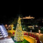 Christmas Tour in Gozo (afternoon) inc. Dinner - Who Will Love This Tour?