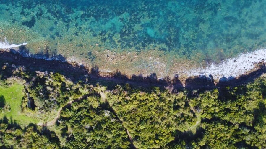 Cilento: 12-meter dive for experts in Sauco Bay - The value of the experience