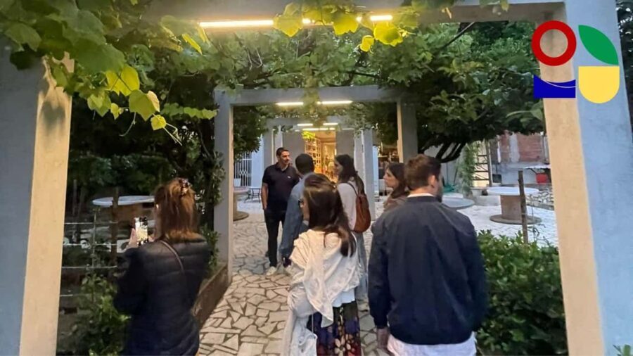 Cilento Wine: Tour & Tasting Experience - Final Thoughts