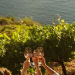 Cinque Terre: Panoramic Walk with Wine Tasting and Light Lunch - What Visitors Say