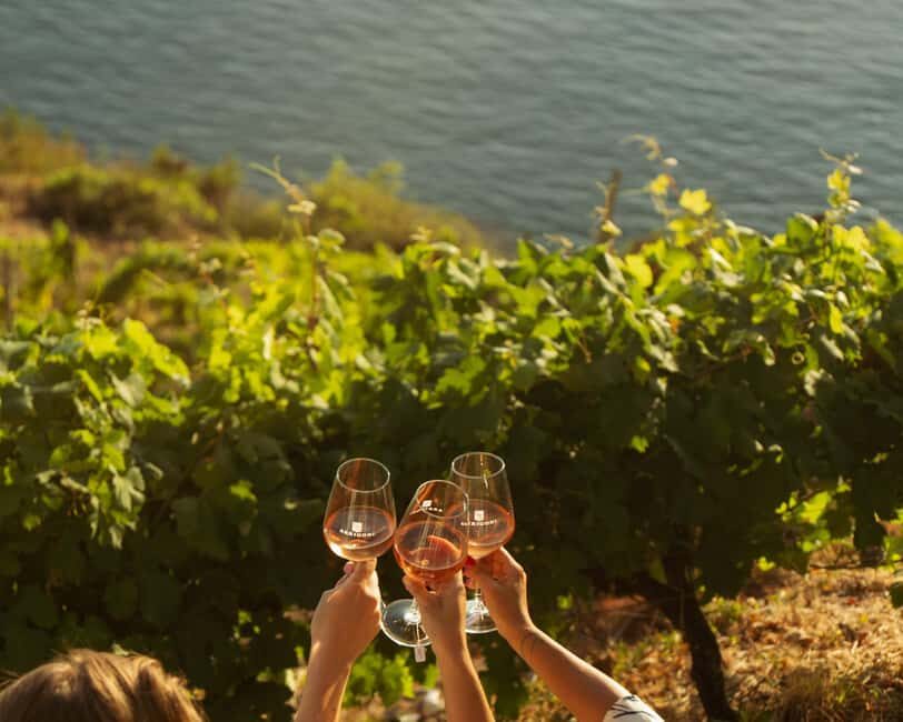 Cinque Terre: Panoramic Walk with Wine Tasting and Light Lunch - What Visitors Say