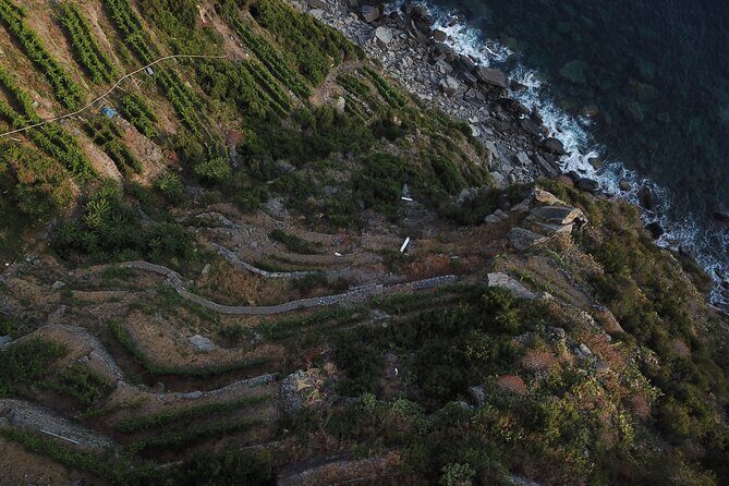 Cinque Terre Private Wine And Views Tour - What the Tour Entails: A Deep Dive into the Itinerary