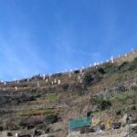 Cinque Terre unforgettable hiking experience - Why This Tour Stands Out