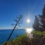 Cinque Terre Villages Walking panoramic tour - The Guide and Group Dynamics