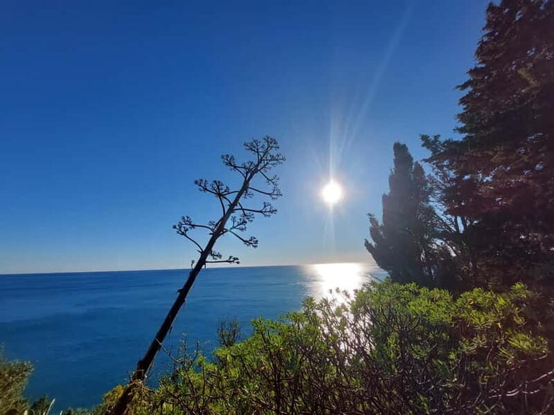 Cinque Terre Villages Walking panoramic tour - The Guide and Group Dynamics