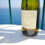 Cinque Terre Wine Tasting and Boat Trip - How Does the Price Measure Up?