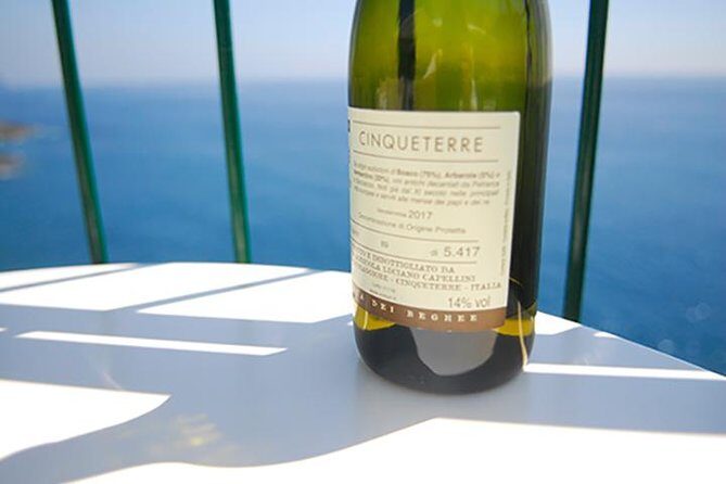 Cinque Terre Wine Tasting and Boat Trip - How Does the Price Measure Up?