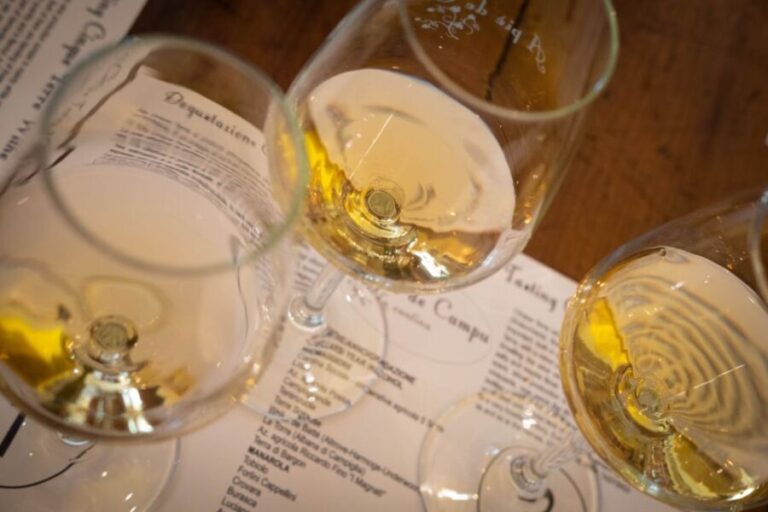 Cinque Terre: Wine Tasting and Walking Tour - What Are the Highlights?