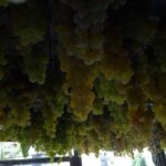 Cinque terre wine tour and tasting with the somelier - A Closer Look at the Tour Experience