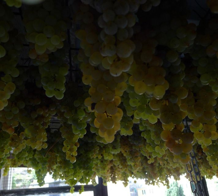 Cinque terre wine tour and tasting with the somelier - A Closer Look at the Tour Experience