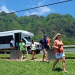 Circle Island Tour with Waimea Waterfall - What Travelers Are Saying (Honest Perspectives)