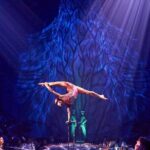 Cirque du Soleil JOYÀ Admission Tickets - What the Reviews Say