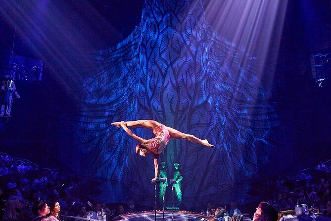 Cirque du Soleil JOYÀ Admission Tickets - What the Reviews Say