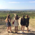 Cité de Carcassonne and Wine Tasting Private Day Tour from Toulouse - Key Points