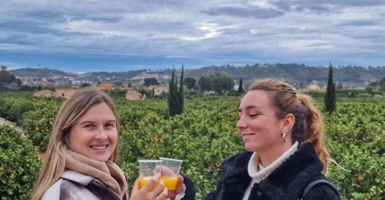 Citrus Treasures: Exploring Valencia's Orange Grove - Who Will Love This Tour?