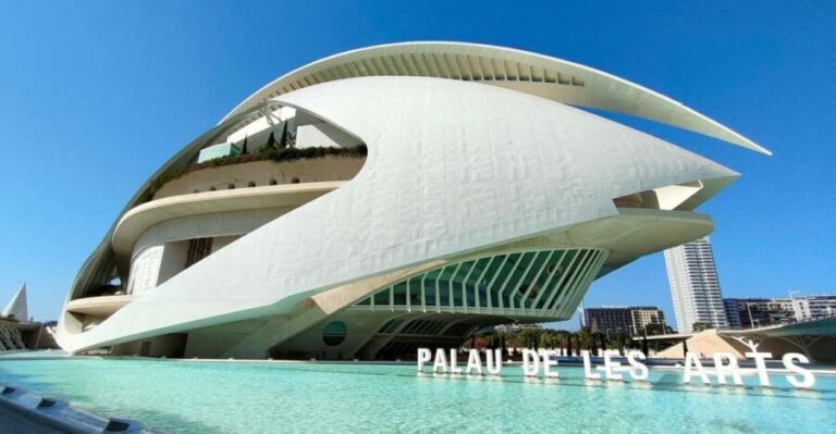 City of Arts and Sciences Private Bike tour - What’s Included and How It Works