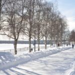 City tour and Santa Claus village visit in Lapland - Transportation and Logistics