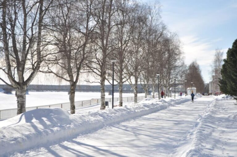 City tour and Santa Claus village visit in Lapland - Transportation and Logistics