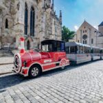 City tour through Regensburg with the little train - Who Is This Tour Best For?