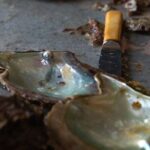 CityTour in Cabo San Lucas and Transparent Boat Tour to the Arch - What the Reviews Say