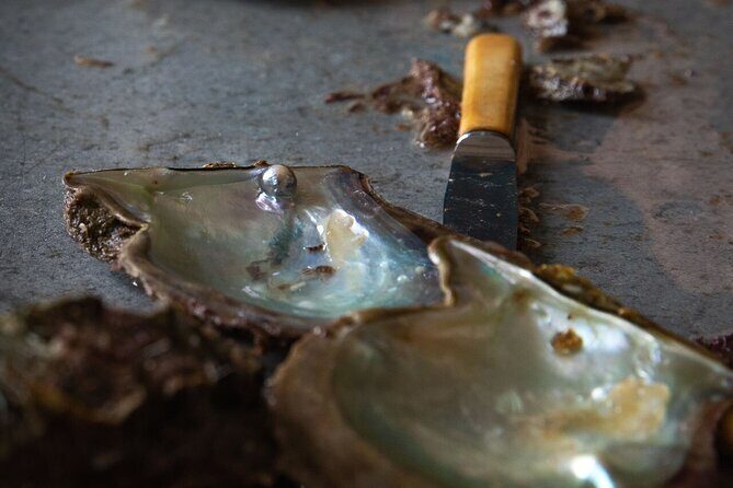 CityTour in Cabo San Lucas and Transparent Boat Tour to the Arch - What the Reviews Say