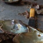 CityTour to San Jose, Cabo San Lucas and Arch Tour in Clearboat - Real Traveler Experiences and Practical Tips