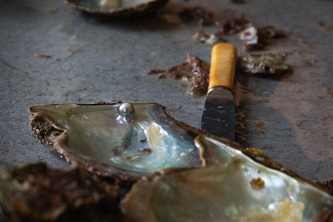 CityTour to San Jose, Cabo San Lucas and Arch Tour in Clearboat - Real Traveler Experiences and Practical Tips