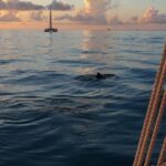 Classic Key West Schooner Sunset Sail with Full Open Bar - The Itinerary Breakdown: What to Expect