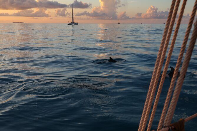 Classic Key West Schooner Sunset Sail with Full Open Bar - The Itinerary Breakdown: What to Expect