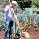 Classic Tequila Tour and CANTARITOS EL GÜERO - The Group Size and Comfort