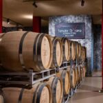 Classic Tour & Monovarietal Wines Tasting - An Honest Look at the Experience