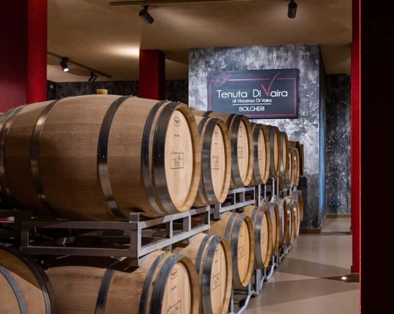 Classic Tour & Monovarietal Wines Tasting - An Honest Look at the Experience