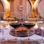 Classic: Tuscan Vineyard Old Jeep Tour, Wine Tasting & Lunch - The Wines and Tasting Experience