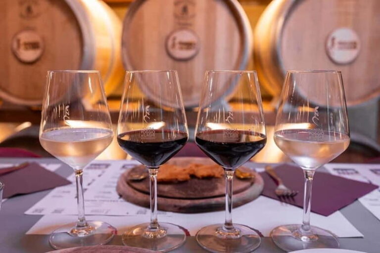 Classic: Tuscan Vineyard Old Jeep Tour, Wine Tasting & Lunch - The Wines and Tasting Experience