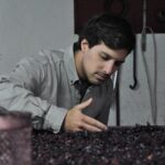 Classic Wine Tasting with GUIDED TOUR - Practical Details and What It Means for You