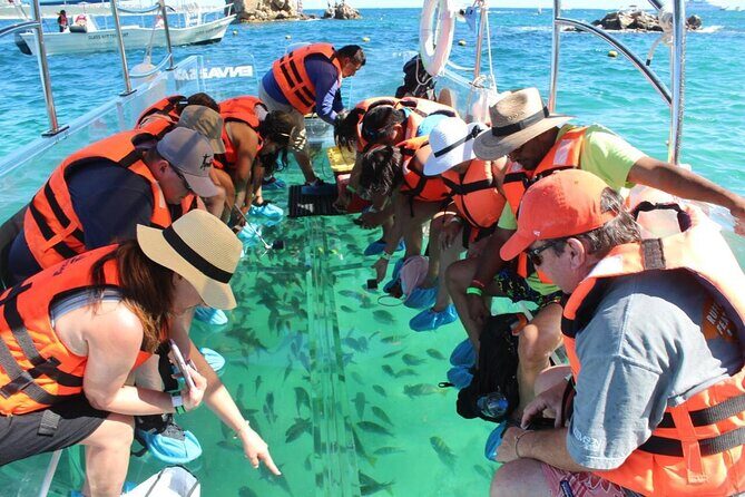 Clear Boat Ride in Los Cabos - FAQs About the Clear Boat Ride in Los Cabos