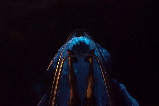 Clear Kayak Bioluminescence Tour - The Pros and Cons of the Experience