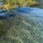 Clear Kayak Day Adventure Tour in San Marcos - Physical Considerations & Group Size