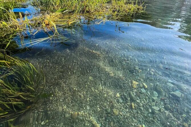 Clear Kayak Day Adventure Tour in San Marcos - Physical Considerations & Group Size