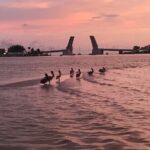 Clear Kayak Glow Tour - Frequently Asked Questions