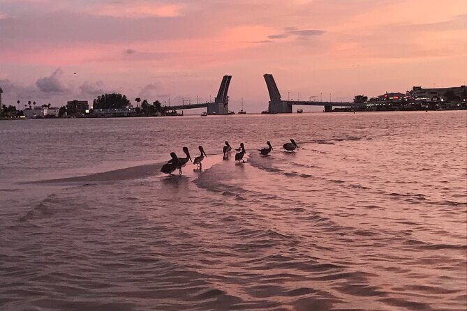 Clear Kayak Glow Tour - Frequently Asked Questions