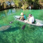 Clear Kayak Manatee Ecotour of Crystal River - What to Expect During the Tour