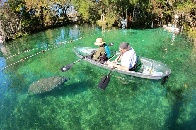 Clear Kayak Manatee Ecotour of Crystal River - What to Expect During the Tour