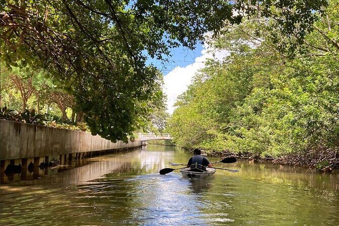 Clear Kayak Tour in South Miami Beach and Biscayne Bay - The Equipment and Guides