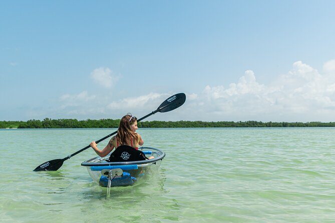 Clear Kayak Tour of Shell Key Preserve and Tampa Bay Area - Final Thoughts