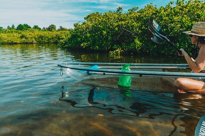 Clear Kayak Tour of Tarpon Springs | Manatee Season - What You Can Expect