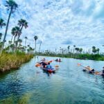 Clear Kayak Tours in Weeki Wachee - The Wildlife and Landscape